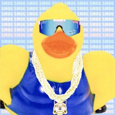 Duck Mogginz